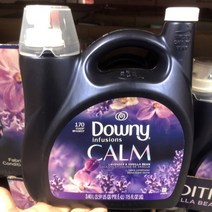 다우니 인퓨전 캄 3.4L