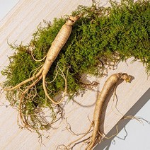 강원도 횡성 10년근 S급 산양삼 산삼 장뇌삼, 3뿌리, 3개