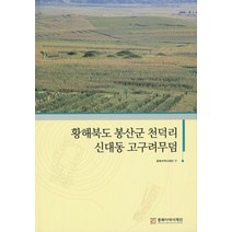 황해북도 봉산군 천덕리 신대동 고구려무덤, 동북아역사재단, 동북아역사재단 편