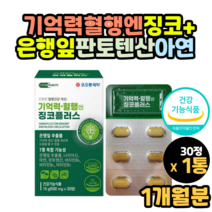 은행잎효능 뇌 기억력 도움 영양제 징코 티아민 리보플라빈 알약 모양 캡슐 캡술 정 영양제 홈쇼핑 코스트코 식약처 인증 인정 Ginkgo