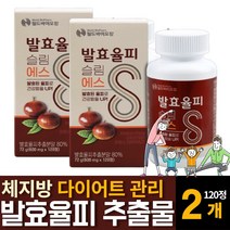 100% 국내산 발효율피 추출물 분말효소 다이어트 엘라그산 쿠마린 퀘르세틴 먹는법효능 효과추천, 120정  /  2개