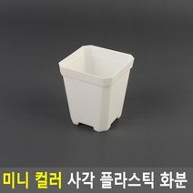 미니 컬러 사각 플라스틱 화분 소 - 화이트 취미생활 원예 책상용 작은화분 인테리어 다육이 테이블 플라워 선물
