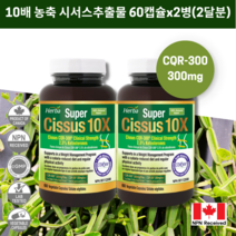 시서스 60비건캡슐 CQR-300 시서스추출물 캐나다 식약처인증 허바캐나다, 2병/60정