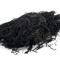 예찬 [완도금일수협] 청정바다 냉풍미역 230g, 냉풍미역 230gx2봉