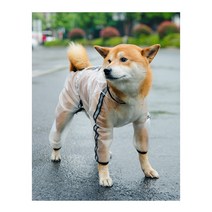 강아지 우비 투명 올인원 일체형 방수비옷 반려견 개 애완 여름산책 레인코트 소형 중형 대형견, 검정(M)