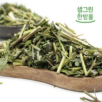 곽향 300g 국내산 배초향 방아잎