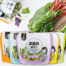 친환경 샐러드 야채 다이어트 샐러드 식단 관리 100gX5팩(5종 중 1세트), 100g, 5팩, 휴엔팜 친환경 혼합 샐러드 (5종 각1팩)