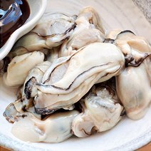 생굴철 생굴1kg최상급 최상급생굴1kg, 통영 생굴 깐굴 1kg