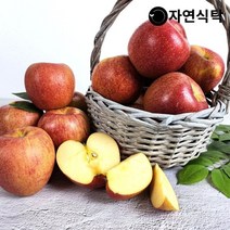 충남 예산 고당도 가정용 엔비사과 5kg(15-23과)