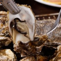 당일배송 통영 세척 석화 굴 5kg 10kg 하프셀 가리비, 1-3. 석화 15kg