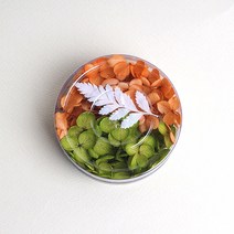 화연양화 프리저브드 수국 2색 유치원 초등학교 미술수업 만들기재료, 7.라임오렌지
