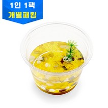 바다새우 키우기 - 1인키트