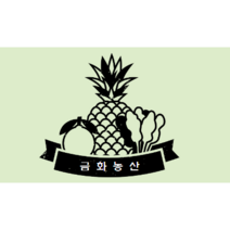 금화)4/1~4/30까지 41 900원 행사 9가지품목!(진지향시즌종료까지판매!), 수입청포도4봉지, 4개