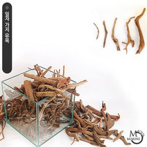 일자 잔가지유목 (중) 2개