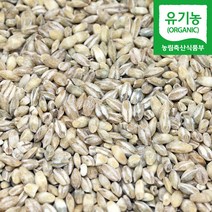 국산 유기농 늘보리 1kg 겉보리 꽁보리 쌀 밥