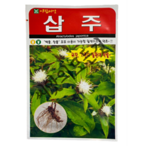 삽주 씨앗 100립 백출 창출 일석이조 약초 토종 삽주씨앗 아람종묘, 1개