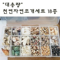 대용량 천연 자연조개세트 18종