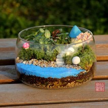 1+1 테라리움 유리병 유리꽃병어항 창의 미경관 생태병 이끼병 다육식물 유리 꽃병 공장 도매나무 트레이, 직경