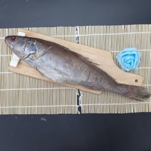 선우수산 반건조생선 국내산 제수용 민어 430g, 1마리