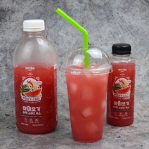 마이요기 생 수박 스무디 주스 즙 땡모반 태국 화채 에이드 음료 수 무설탕 100% 국내산 고창 씨없는 고당도 맛있는 꿀 과채 얼린 냉동 과일 NFC 착즙 쥬스 310ml 10병, 20.ABC주스 310ml 10병