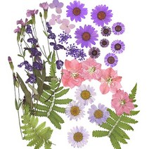 압화종합팩 누름꽃63 약32개 B-03-063