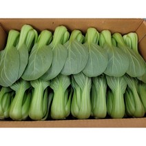 야채왕 싱싱한 청경채 200g 500g 1kg 4kg 박스, 청경채2kg