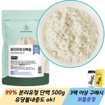 WPI 분리유청 단백 분말 500g 1팩 유당불내증 고함량 단백질 프로틴 가루 3팩 이상 사은품, 3개