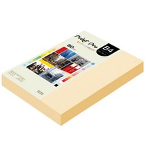 종이문화 프린트프로 칼라복사지 B4 80g No.02 아이보리 340매