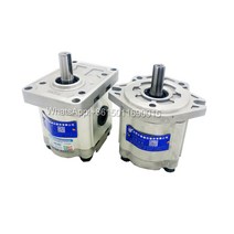 작은 CBW-F310/F314/F316/F320 오일 펌프 공압 유압 기어, 08 CBW-F306-CFP