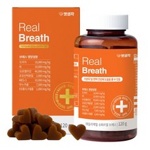 펫생각 강아지 기관지 영양제 협착증 기침 켁켁거림 질환 면역력 향상 간손상, 1박스