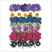 [바보사랑] 압화종합팩(K115)