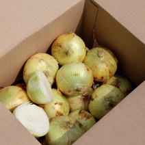 항채원 달큰아삭 신선한 국내산 햇양파 특대(350g이상) 당일선별 망포장 오늘출발, 1개, 대3kg
