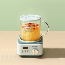 약탕기 가정용 업소용 한약 도자기 중탕기 대용량 홍삼 달임기 전기 탕약기 스마트 건강 전기 주전자 500ml, 01 green_03 AU