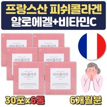 피쉬 콜라겐 석류 스틱 히알루론산 해조칼슘 스틱 저분자 먹는 어류 마시는 콜라젠 하루섭취량 복용법 COLLAGEN 피부 구성 성분 여성 여자 40대 50대 60대 갱년기