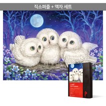 1000피스 직소퍼즐+액자세트 - 호기심 가득한 밤(액자포함), 단품, 단품