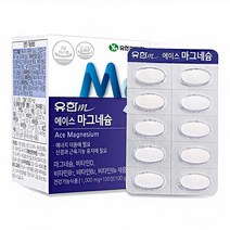 유한메디카 에이스 마그네슘 100일분 비타민 함유, 100g, 1개