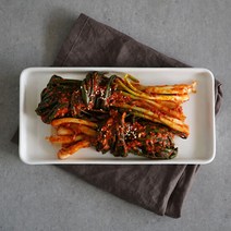[전통식품인증] 30년전통 전라도식 국내산 파김치 1kg, 단품