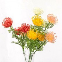 고속터미널꽃시장 핀쿠션 레우코스페르뭄 조화꽃 63cm 코랄 (WT000151)
