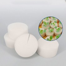 으라차차/새싹 스펀지 수경재배 포트 10개 모종재배 스폰지, 2-수경스펀지10P-30호