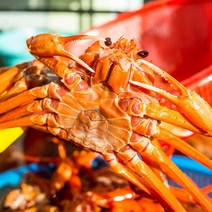 자연맛남 [자연맛남] 속초 붉은대게 자숙 홍게 2kg 6-8미(일반)