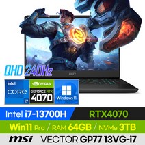 [사은품 증정!] MSI VECTOR GP77 13VG-i7 QHD 고사양 배그 롤 로아 오버워치 발로란트 17인치 게이밍 노트북 (코어i7-13700H/RTX4070), 윈도우 포함, 64GB, 3TB, 코어i7, 블랙