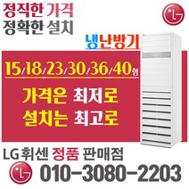 LG 휘센 냉난방기 냉온풍기 스탠드 15형 18형 23형 31형 40형 인버터 절전형 업소용, PW0603R2SF 15평 (220v)