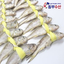 가정용 굴비 20마리 40마리 국산굴비 밥도둑 굴비구이용, 가정용굴비 40마리 (소)