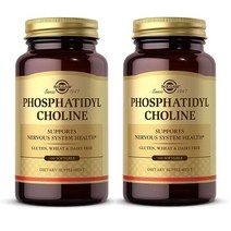 Solgar Phosphatidyl Choline Support Cognitive Function 솔가 포스파티딜 콜린 서포트 코그니티브 펑션 100소프트젤 2팩, 2개, 100정