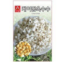 A-케이팝옥수수 20g / 옥수수씨 옥수수씨앗 옥수수종자, 선택완료