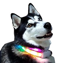 멍장군 강아지 LED 야광 목걸이