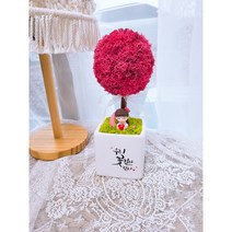 더별꽃 모스 토피어리 화분 집들이 개업용 선물 캘리그라피화분 DIY패키지, 핑크