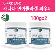 수용성 저분자 피쉬콜라겐 트리펩타이드 가루 연어콜라겐 어류콜라겐 생선껍질콜라겐 히알루론산 파우더 가수분해 나노콜라겐 블루베리맛 로얄제리 이너뷰티 캐나다직수입 단일어종 블루콜라겐 모발 손톱, 2통