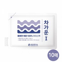 차가운I 아이스팩 반제품 150*200 10매, 단품, 10개