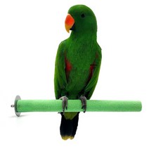 일자 샌드 앵무새 발톱갈이 횃대 (대) 30cm, 랜덤발송